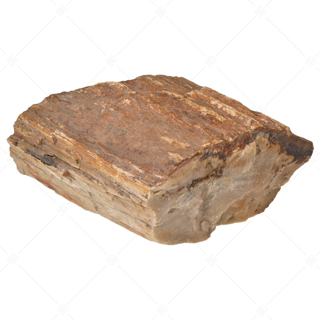 BALCANO - Fa kövület (fosszília) / Ásvány karkötő (853034ZJ66)